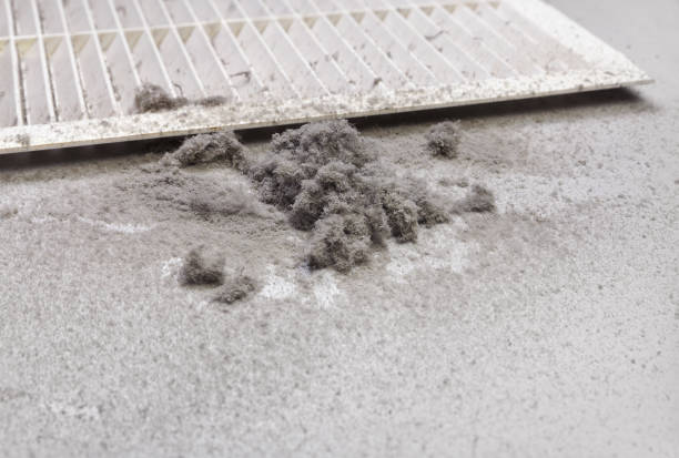 Best Best Air Duct Cleaning Near Me  in Coleman, TX