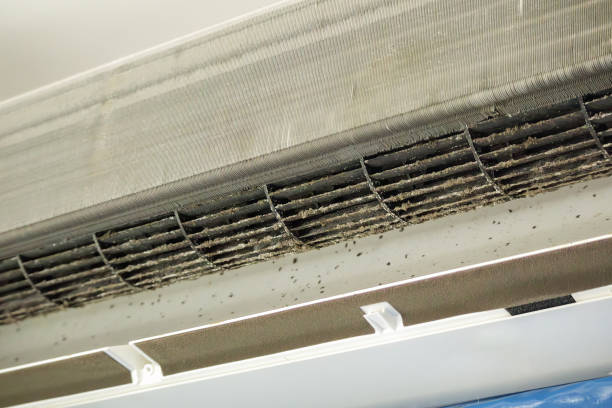 Best Residential Air Duct Cleaning  in Coleman, TX